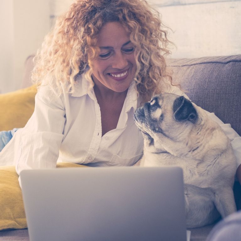 A happy woman and her pug reading her laptop.